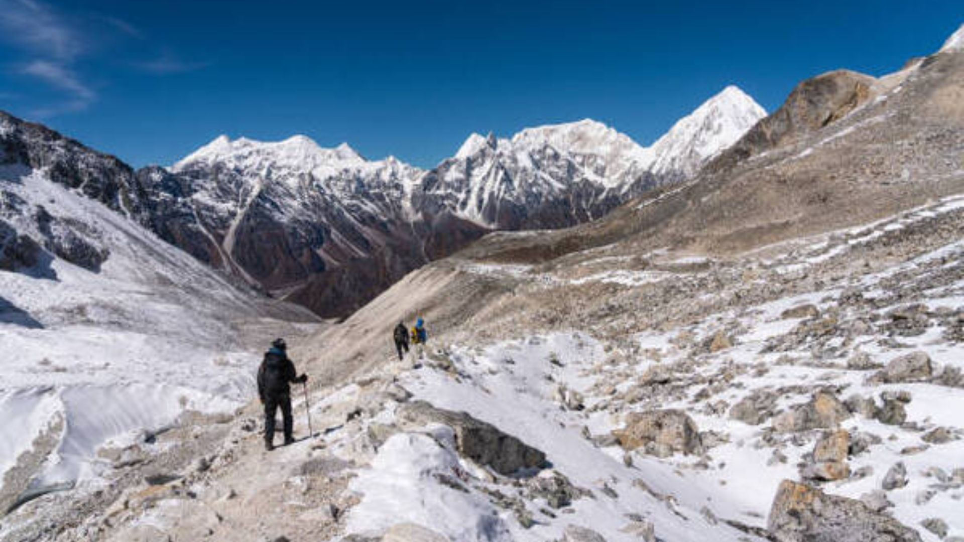 Safety Guidelines for ...