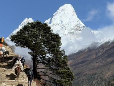 Lobuche Peak Climbing  (10) 