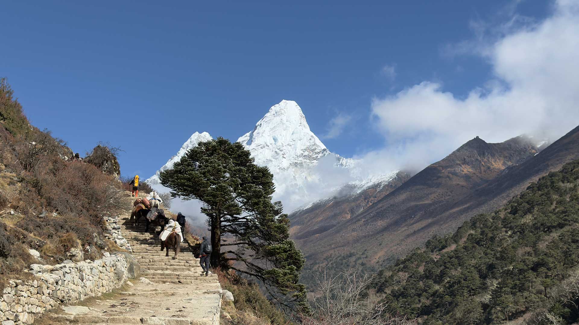ama-dablam-mountain